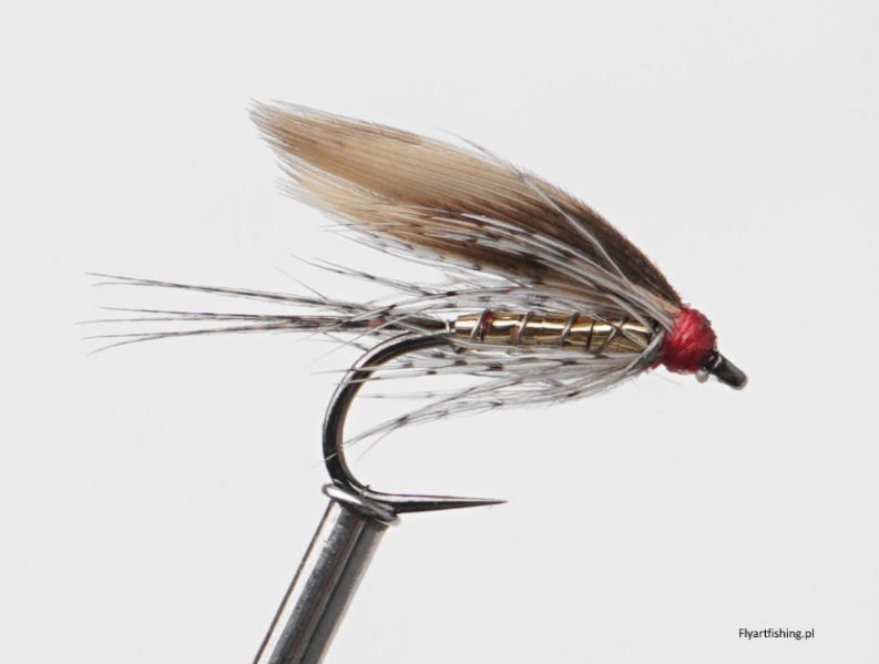 Sztuczna mucha wędkarska march brown na pstrąga na pstągi pstrąg mokra